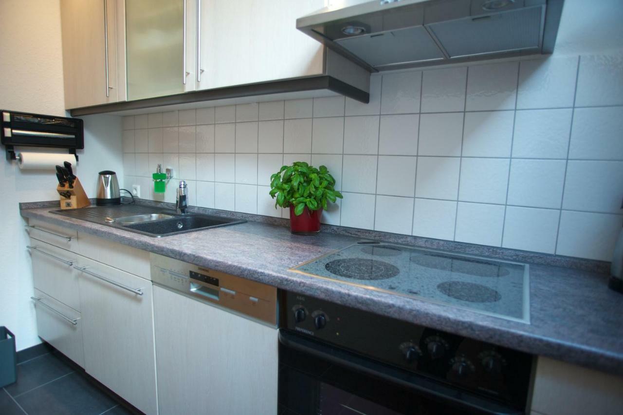 Neumann Apartment Marbach am Neckar Exterior foto