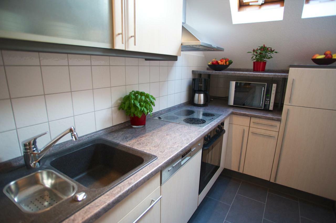 Neumann Apartment Marbach am Neckar Exterior foto